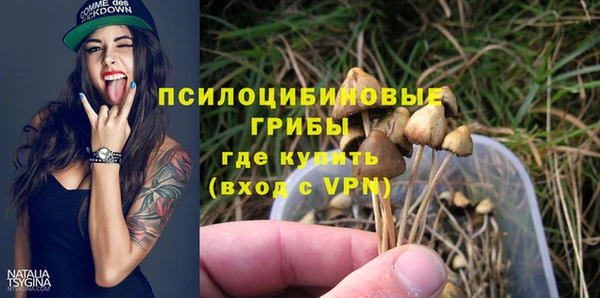 прущая мука Армянск