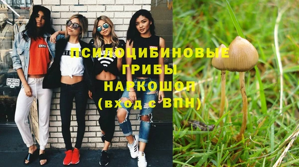 прущая мука Армянск